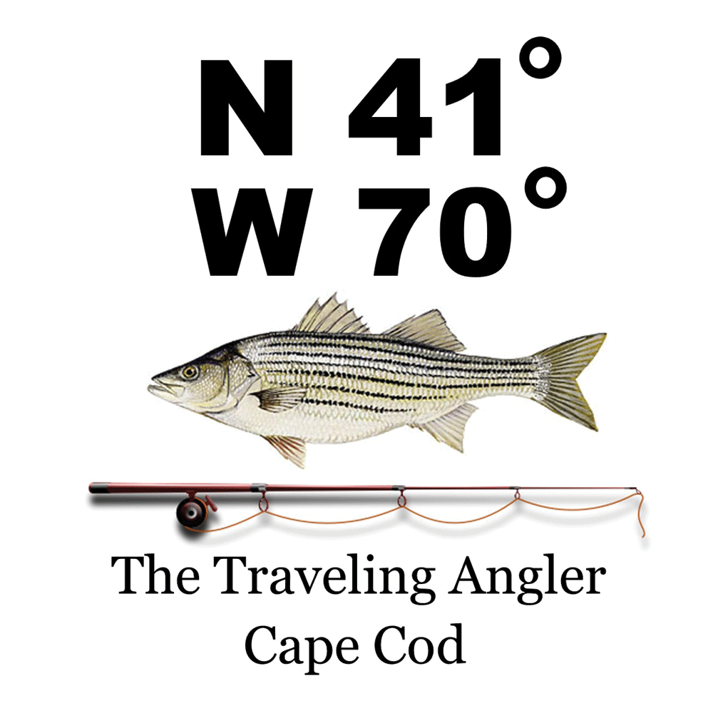 Traveling Angler Cape Cod